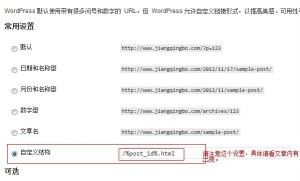 帮新手解决wordpress伪静态以及目录去掉的插件