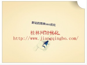 bbvg1 300x223 企业公司在2013年搜索引擎优化